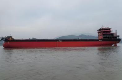 散雜船海運(yùn)的定義、特點(diǎn)、應(yīng)用領(lǐng)域以及面臨的挑戰(zhàn)與機(jī)遇